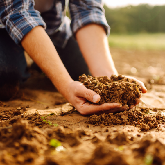 Land Management